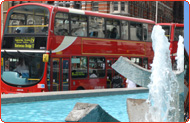 Buses