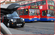 Buses